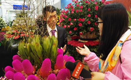 第十八届中国国际花卉园艺展览会5月11日(图4) 第十八届中国国际花卉园艺展览会5月11日(图4)
